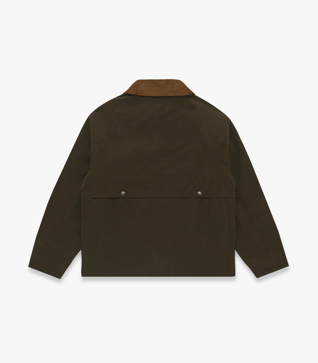 Olive