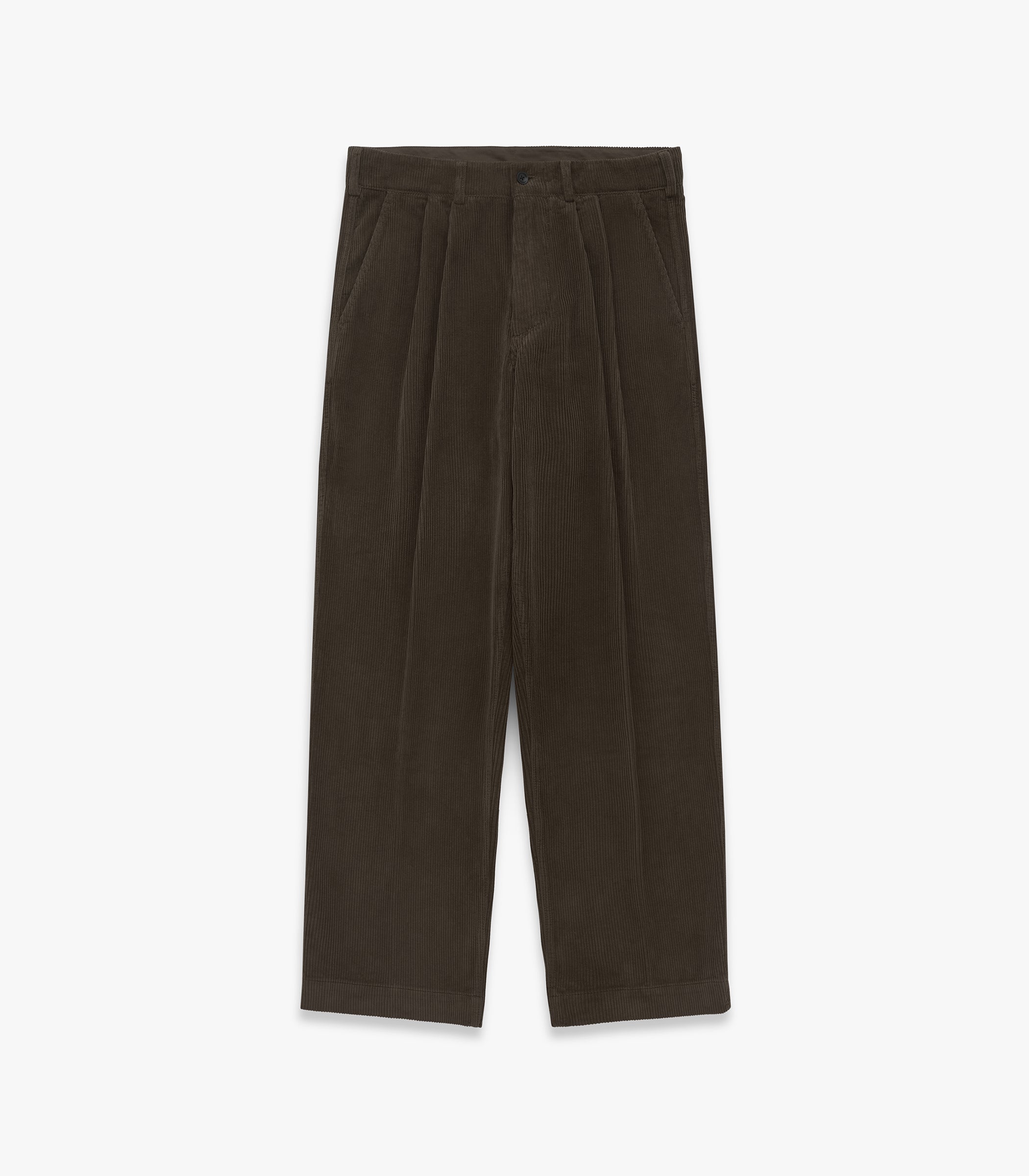 Canal Pleated Corduroy Cotton Pant in Coffee