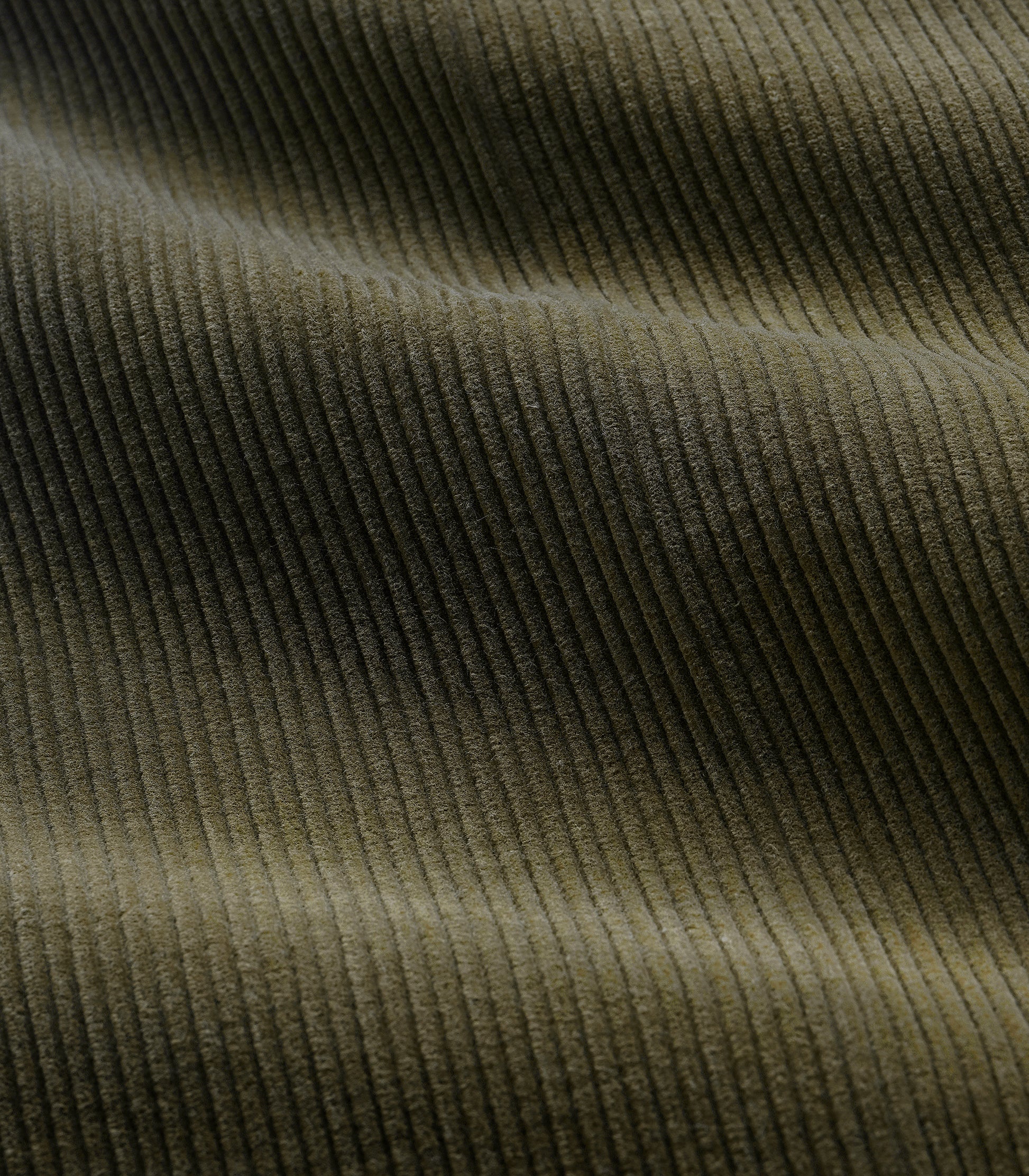 Moss