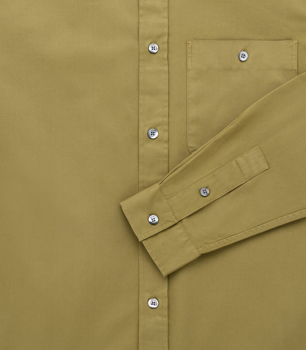 Midnight Olive