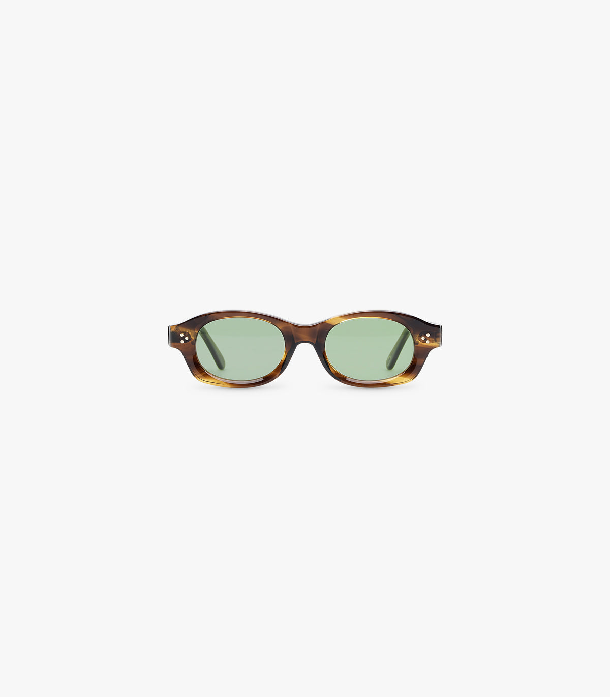 The Sport in Honey Tortoise
