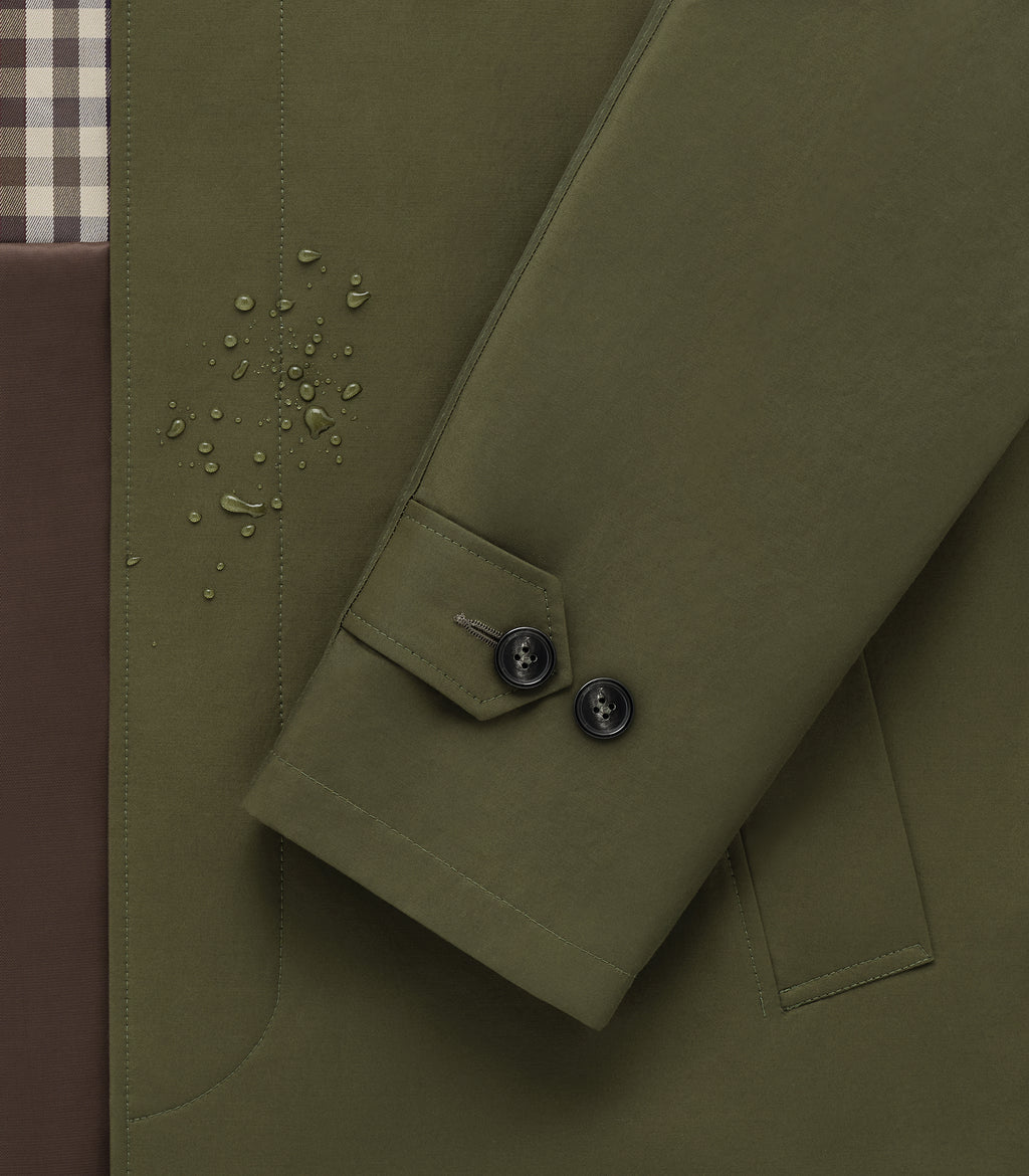 Tuscan Olive