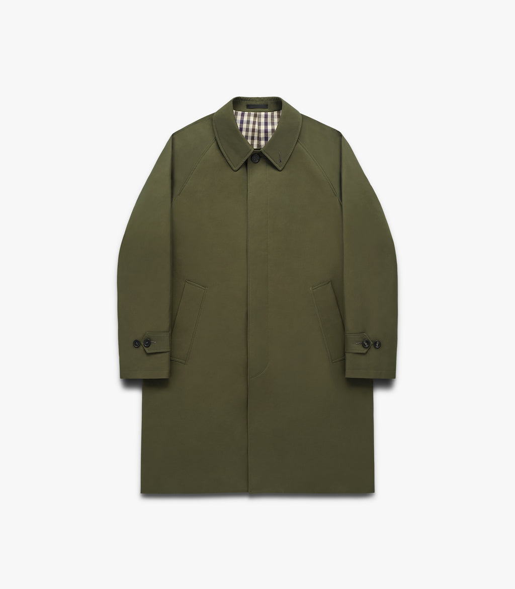 Tuscan Olive