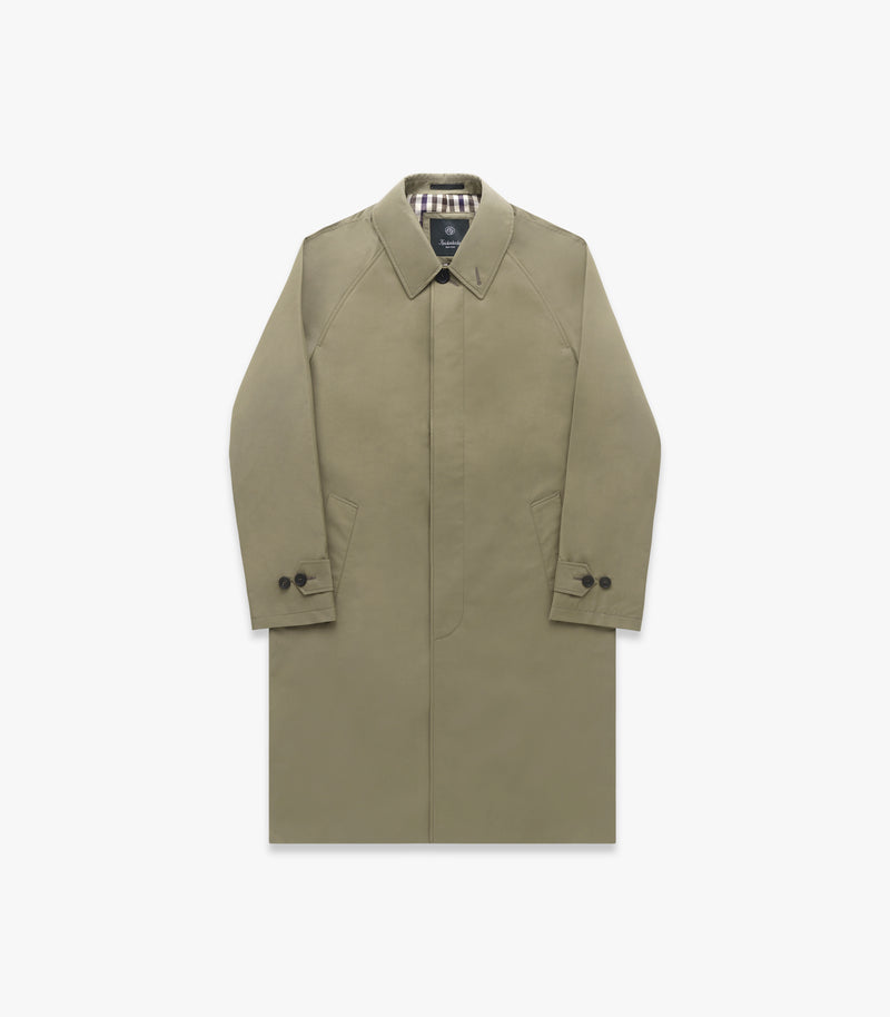 Light Olive